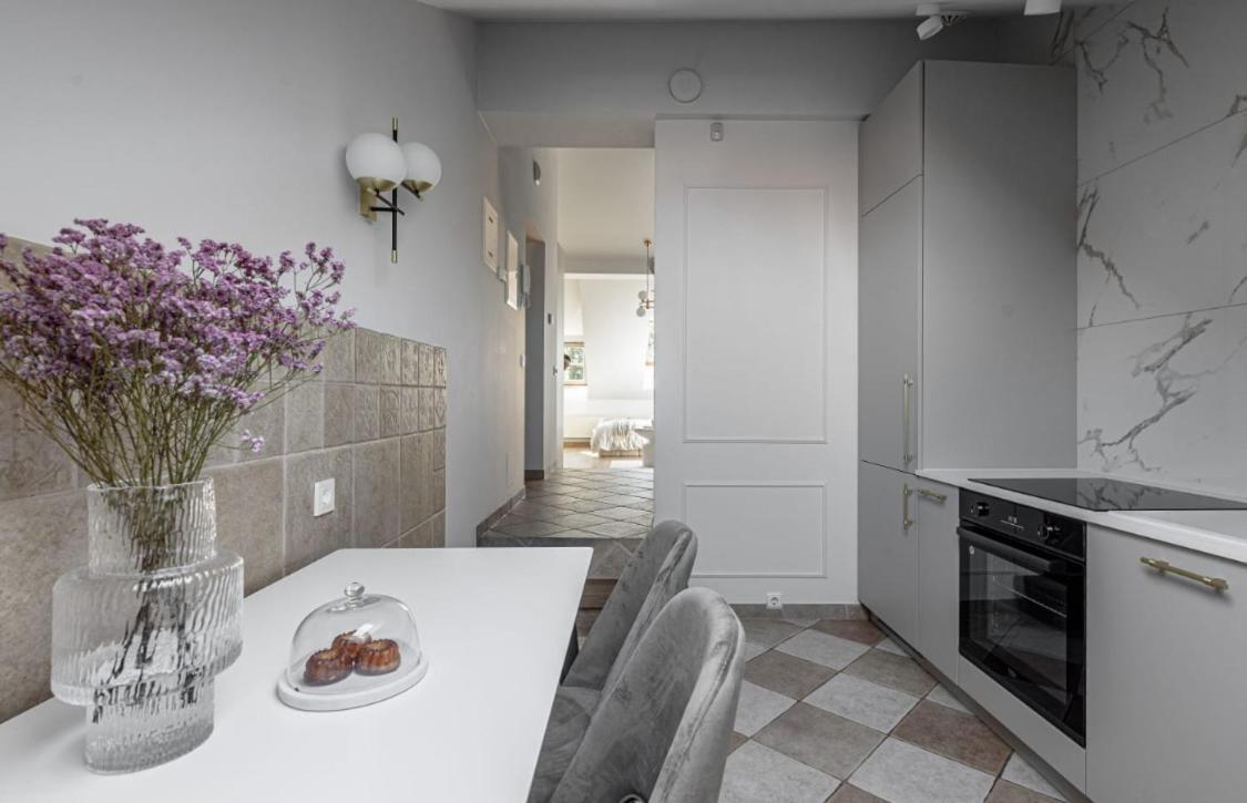 Traku Street Apartment In Vilnius Luaran gambar